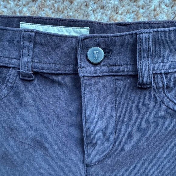 Anthropologie PILCRO AND THE LETTERPRESS Size 25 Deep Purple Serif Skinny Cords - Picture 4 of 6